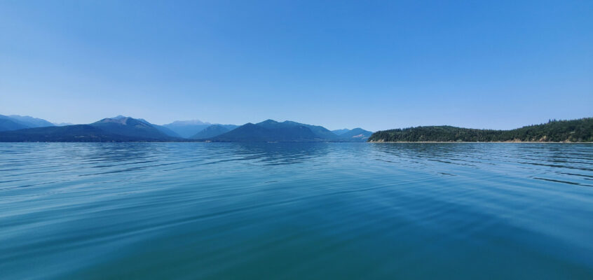 Hood Canal: a Bloom Seen from Space