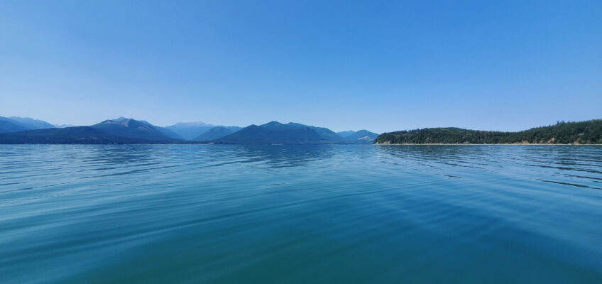 Dabob Bay Washington | Natalie Coleman, Marine Biologist