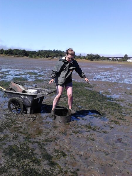 Digging core population survey Idaho flats mudshrimp, Newport, Oregon