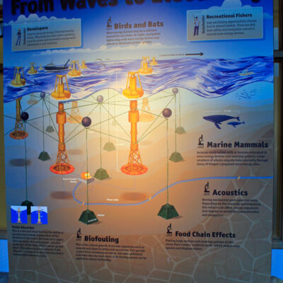 Electricity from Ocean Waves Exhibit | Hatfield Marine Science Center