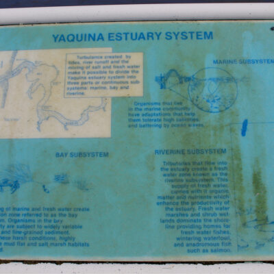 Mud Flats (Idaho Flats) | Hatfield Marine Science Center