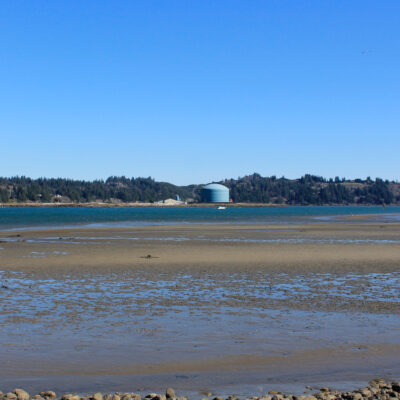 Mud Flats (Idaho Flats) | Hatfield Marine Science Center