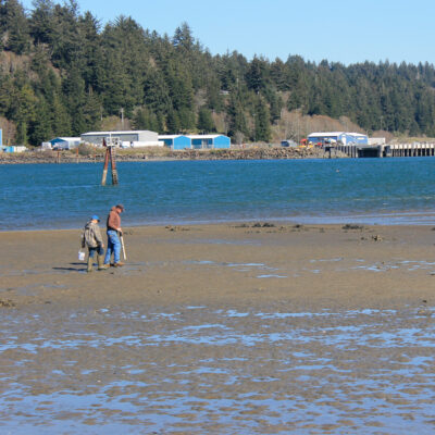 Mud Flats (Idaho Flats) | Hatfield Marine Science Center