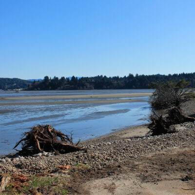 Mud Flats (Idaho Flats) | Hatfield Marine Science Center