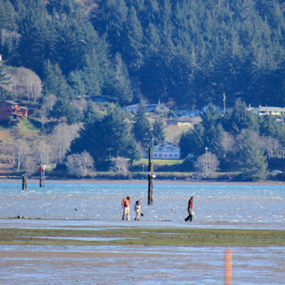 Mud Flats (Idaho Flats) | Hatfield Marine Science Center