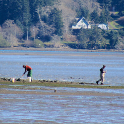 Mud Flats (Idaho Flats) | Hatfield Marine Science Center