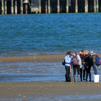 Mud Flats (Idaho Flats) | Hatfield Marine Science Center