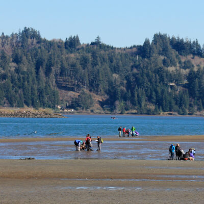 Mud Flats (Idaho Flats) | Hatfield Marine Science Center