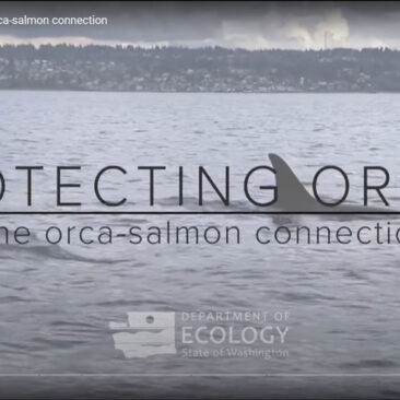 Washington DFW and Dept of Ecology Protecting Orca