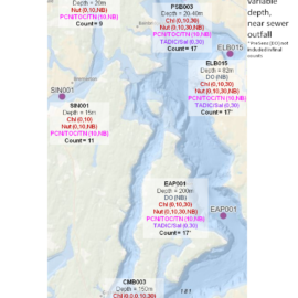 Central Puget Sound Sampling Stations | Natalie Coleman, Marine Biologist