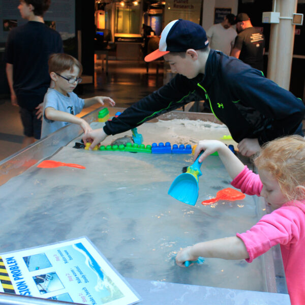 Splash and Sand Zone | Hatfield Marine Science Center