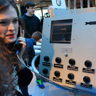 Whale Sounds Station | Hatfield Marine Science Center